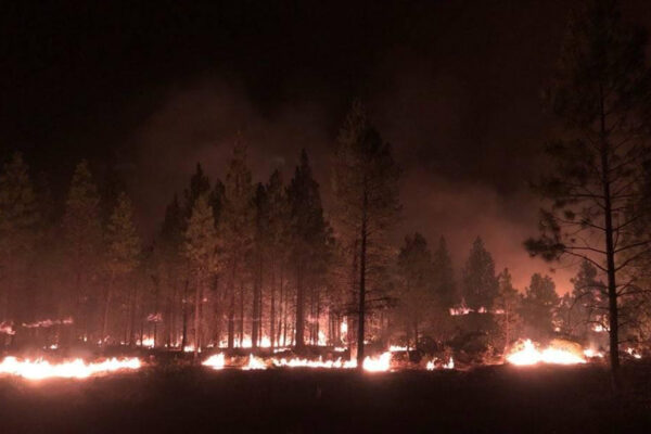 Bootleg Fire Incident Command
