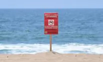 LA Controller Demands Answers for 17 Million Gallon Sewage Leak