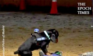 Police Dog Performs CPR