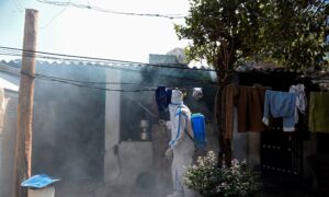 India Reports First Human Death From Bird Flu