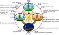 Skip the coffee, have a cup of Circadian instead