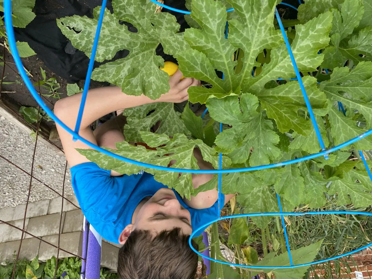 Harvest to Help: Gardeners Who Donate Extra Produce