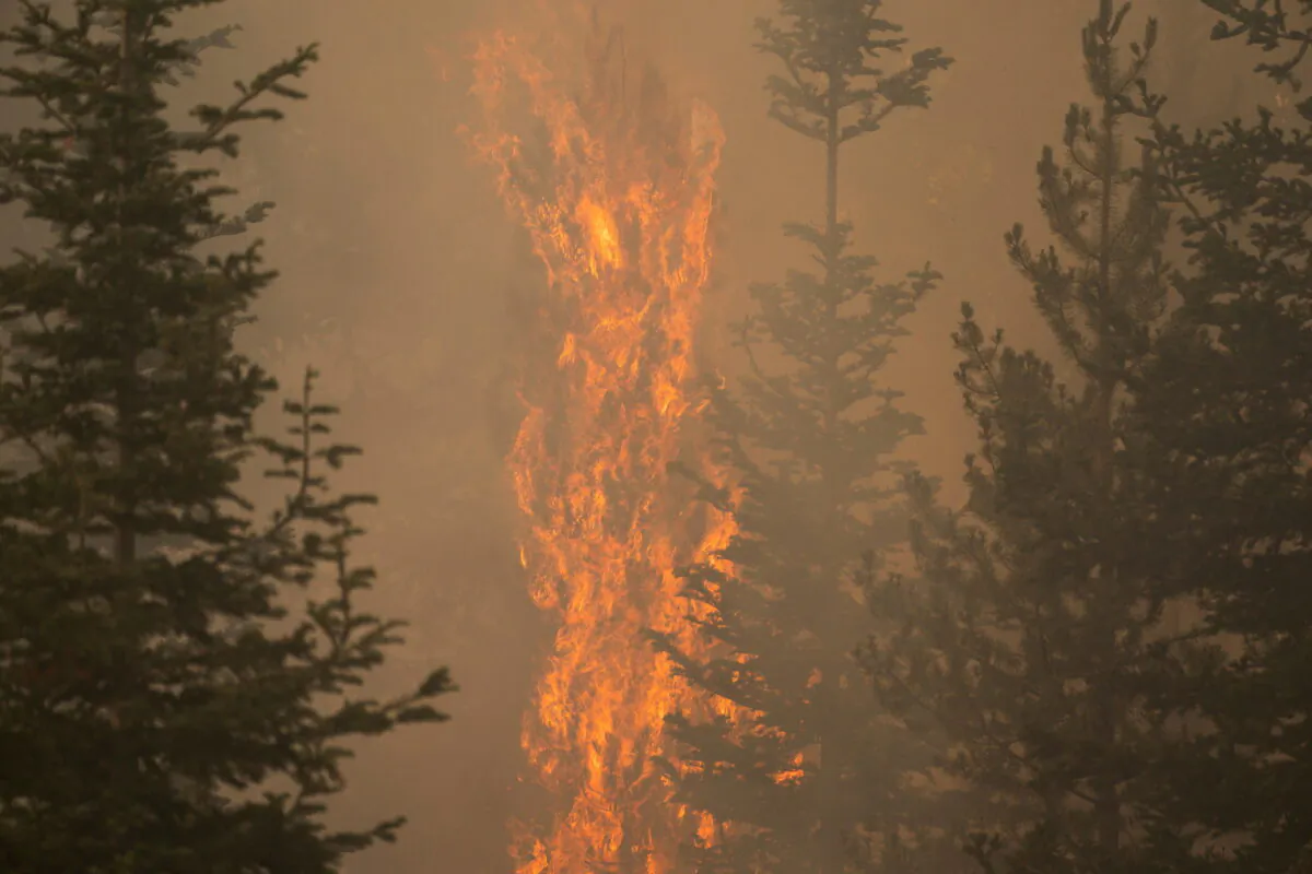 The Bootleg Fire burns through vegetation near Paisley, Ore., on July 20, 2021. (David Ryder/Reuters)