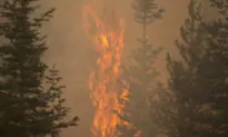 Lightning Found to Have Ignited Oregon’s Mammoth Bootleg Fire