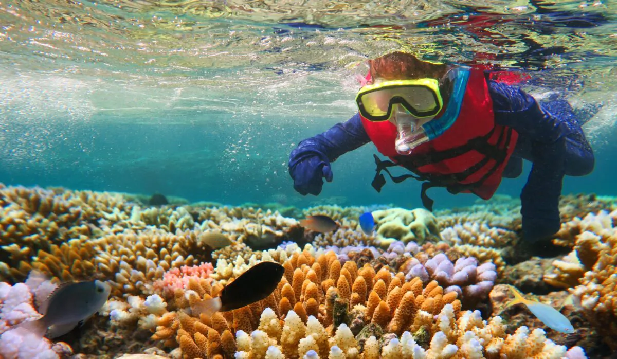Snorkeling on the Great Barrier Reef along the Queensland coast in Australia. (Adobe Stock)