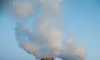 Evacuation Order Lifted After Chemical Leak at Texas Plant