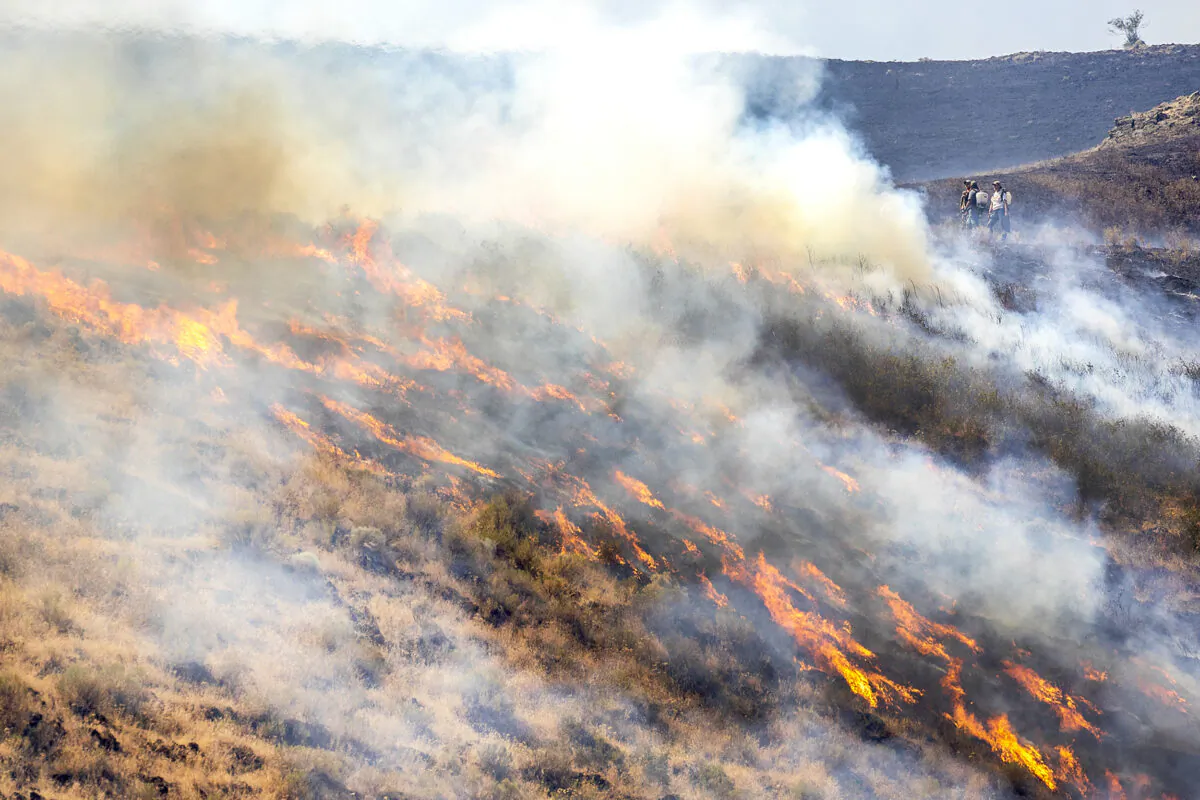 People stand behind the fire line as the flames spread through dry grasses at the Steptoe Canyon Fire in Colton, Wash., on July 22, 2021. (August Frank/Lewiston Tribune via AP)
