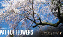 The Path of Flowers | Mythical Roads