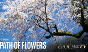 The Path of Flowers | Mythical Roads
