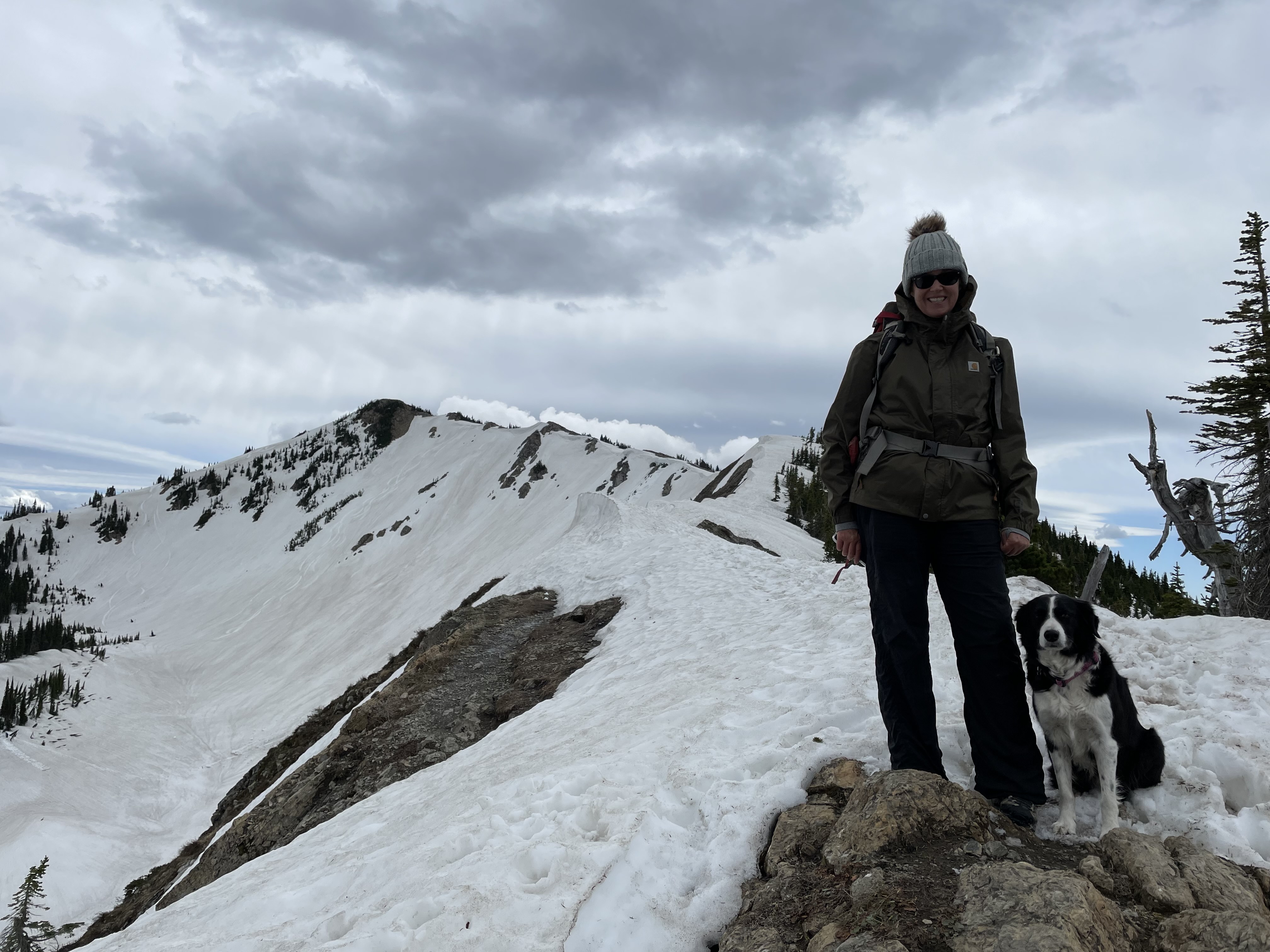 The snowy summit.