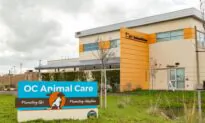 OC Animal Care Holds Free Adoption for 200 Pets