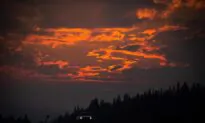 Fires in Western Canada Creating Own Weather Systems, Experts Say