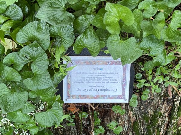 Epoch Times Photo