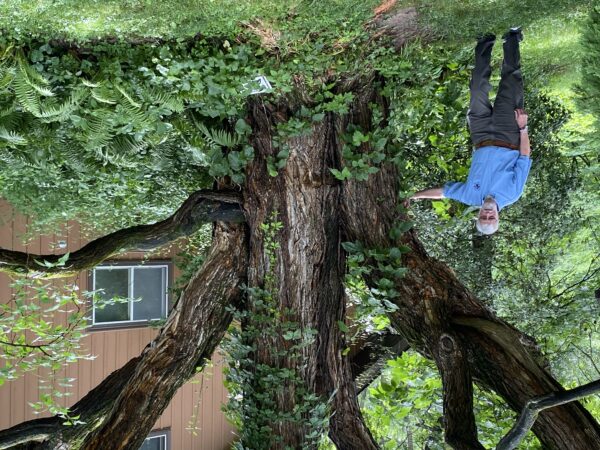 Epoch Times Photo