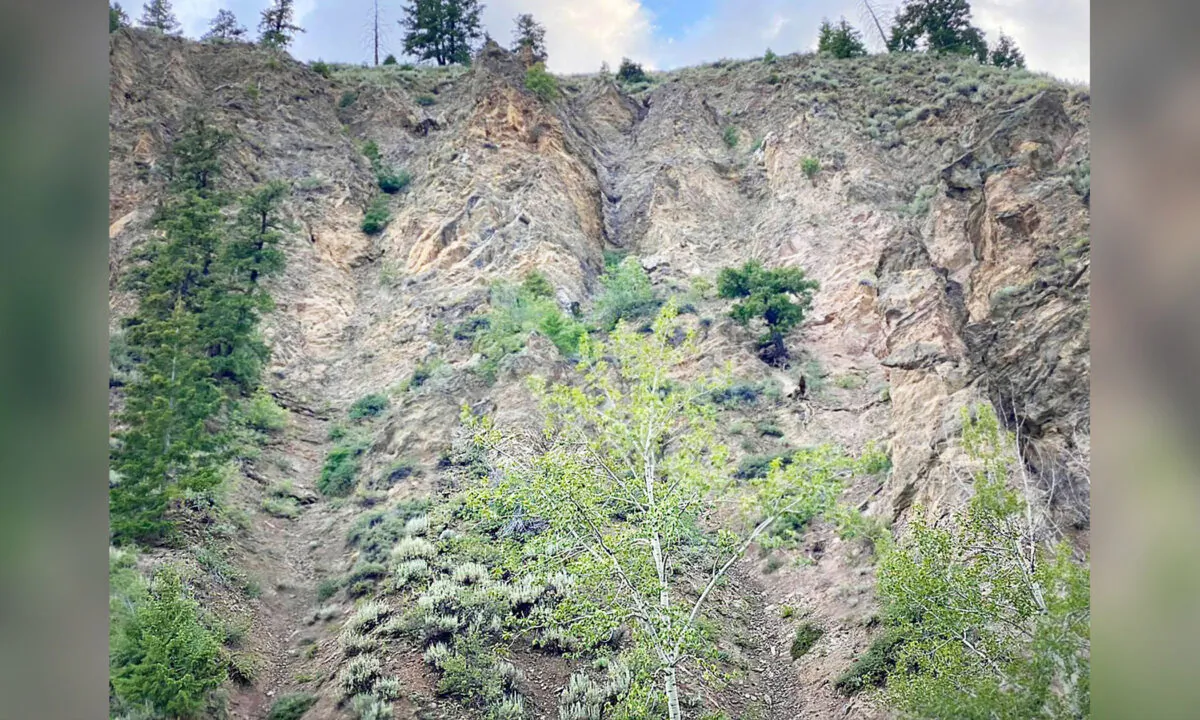 (Courtesy of Ron Bateman/Wood River Fire & Rescue)