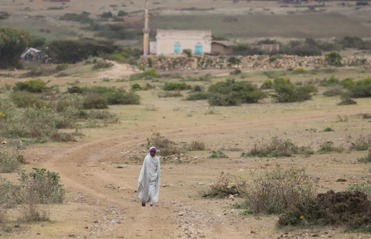  An internally displaced Ethiopian girl walks back to her village Sariir in Somali Region, Ethiopia, on Jan. 13, 2020. (Giulia Paravicini/Reuters)