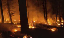 California, Nevada Governors Call for More Federal Aid in Wildfire Battle