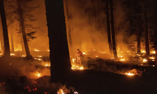 California, Nevada Governors Call for More Federal Aid in Wildfire Battle