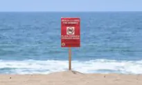 Beaches Across Massachusetts Abruptly Shut Due to High Levels of Bacteria