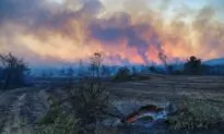 Three Dead as Wildfire in South Turkey Rages On: Minister