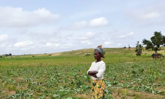 Terrorists Wage Food War in Northern Nigeria