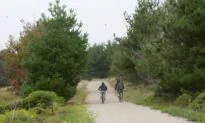 Bystanders Praised for Attempts to Save Mountain Biker in Hobart, Australia