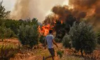 Turkey Evacuates Panicked Tourists by Boat From Wildfires
