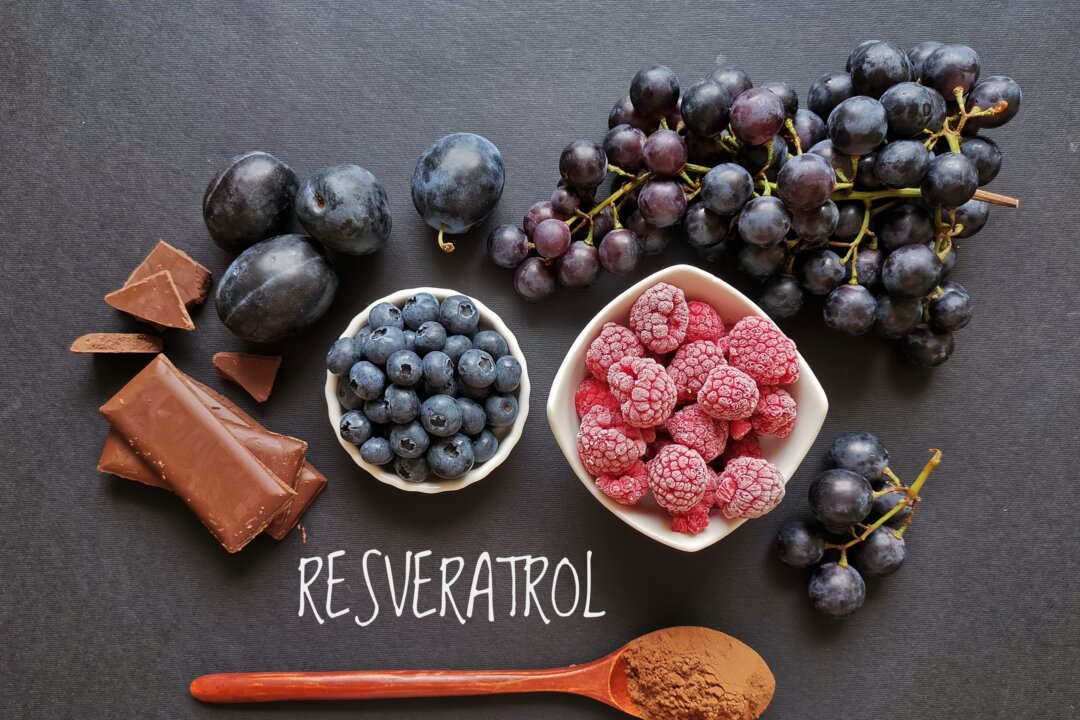 Resveratrol is a compound found in the skin of grapes, blue and purple berries, and dark chocolate that helps plants resist disease and environmental stressors. (Danijela Maksimovic/Shutterstock)
