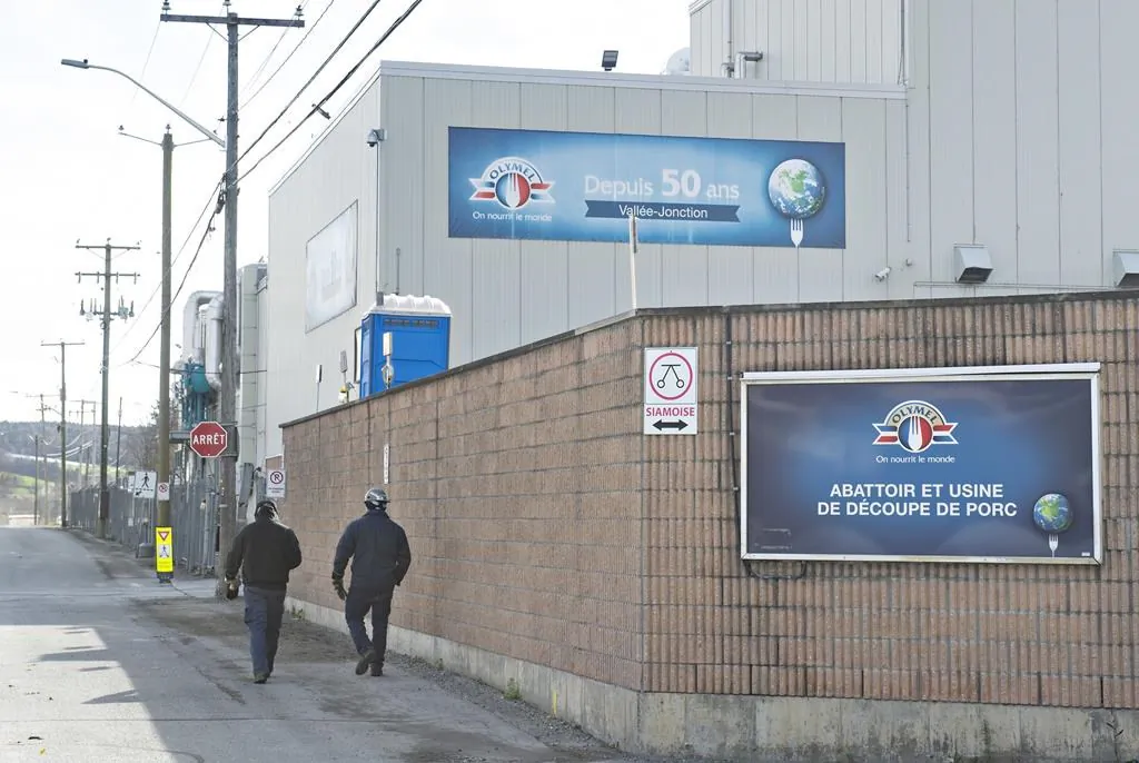 Workers walk outside the Olymel pork processing plant in Vallee-Jonction, Que, on Oct. 29, 2020. (The Canadian Press/Jacques Boissinot)