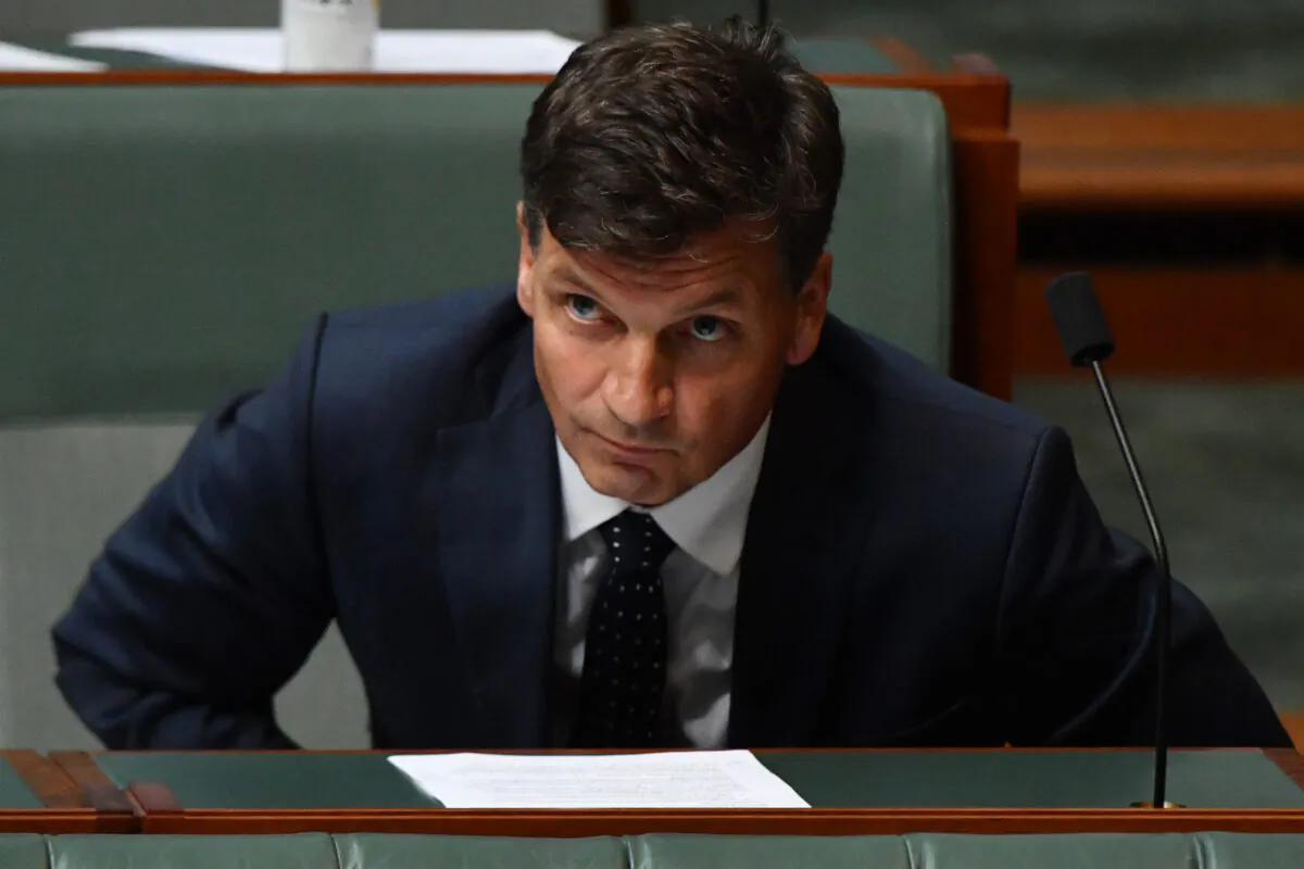 Minister for Energy Angus Taylor during Question Time in the House of Representatives at Parliament House in Canberra, Australia on Feb 2, 2021. (Photo by Sam Mooy/Getty Images)