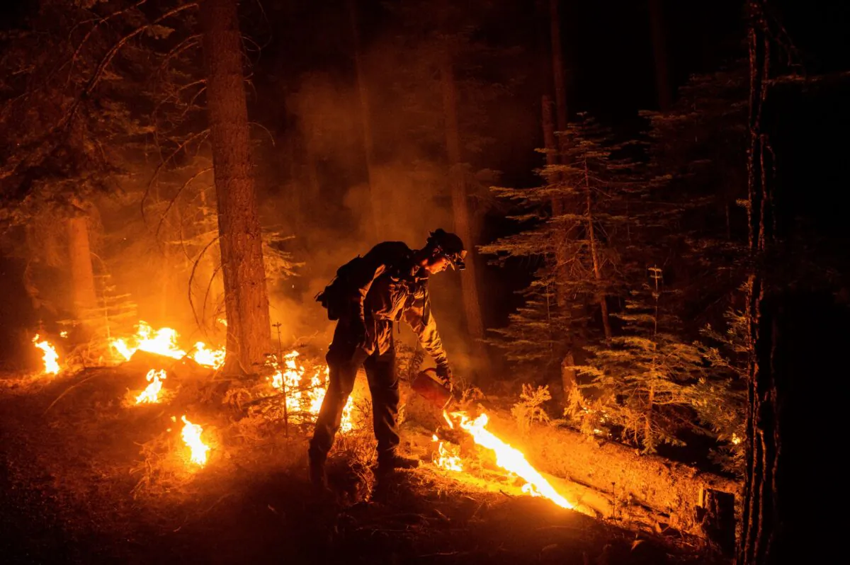 A firefighter uses a drip torch to ignite vegetation while trying to stop the Dixie Fire from spreading in Lassen National Forest, Calif., on July 26, 2021. (Noah Berger/AP Photo)