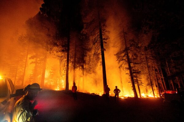 firefighters-monitor-firing-operation
