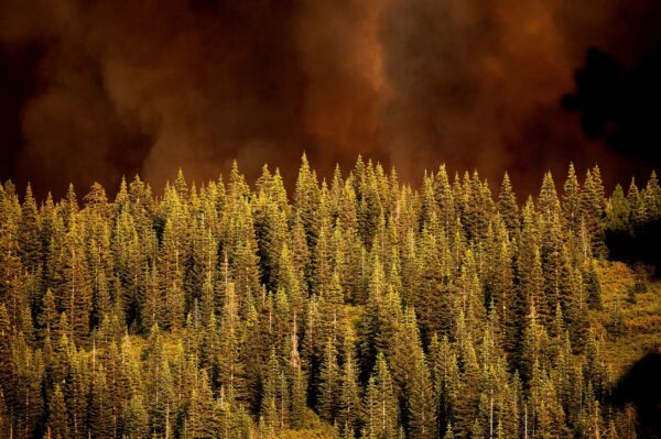 smoke-from-dixie-fire