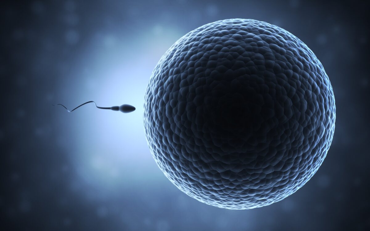 Sperm concentration fell between 50 to 60 percent from 1973 to 2011. (Shutterstock/koya979)