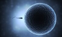 Why Is Male Fertility Declining?