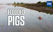 Flooded County Asks for Disinfectant Donations
