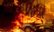 Climate Change Isn’t Driving Western Wildfires; Government Mismanagement Is to Blame
