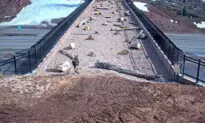 Footage Shows Animals Using Wildlife Bridge to Cross Dangerous Interstate Highway in Utah
