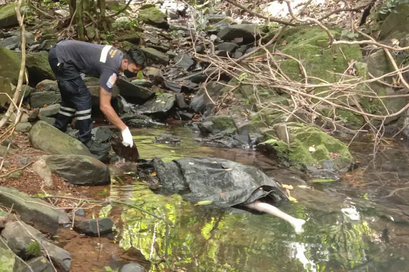 An officer inspects the scene where a woman was found dead at a secluded spot on the southern island of Phuket, Thailand, on Aug. 5, 2021. (AP Photo)