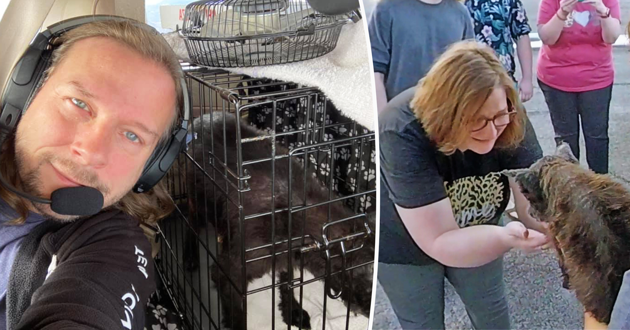 LongLost Dog Reunites With His Family After Being Found 10 Years Later