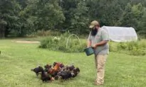 ‘Preppers’ Quietly Stock Up for the ‘Perfect Storm’