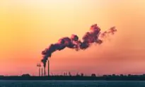 Pro-Solar Group Threatens to Sue Australia over Fossil Fuel Funding