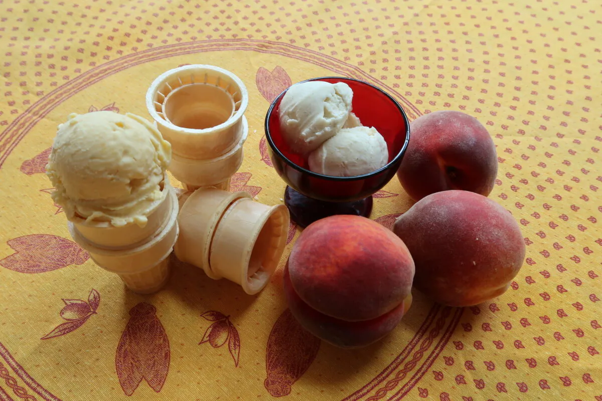 Homemade peach (L) and vanilla ice cream. (Linda Joyce Forristal)