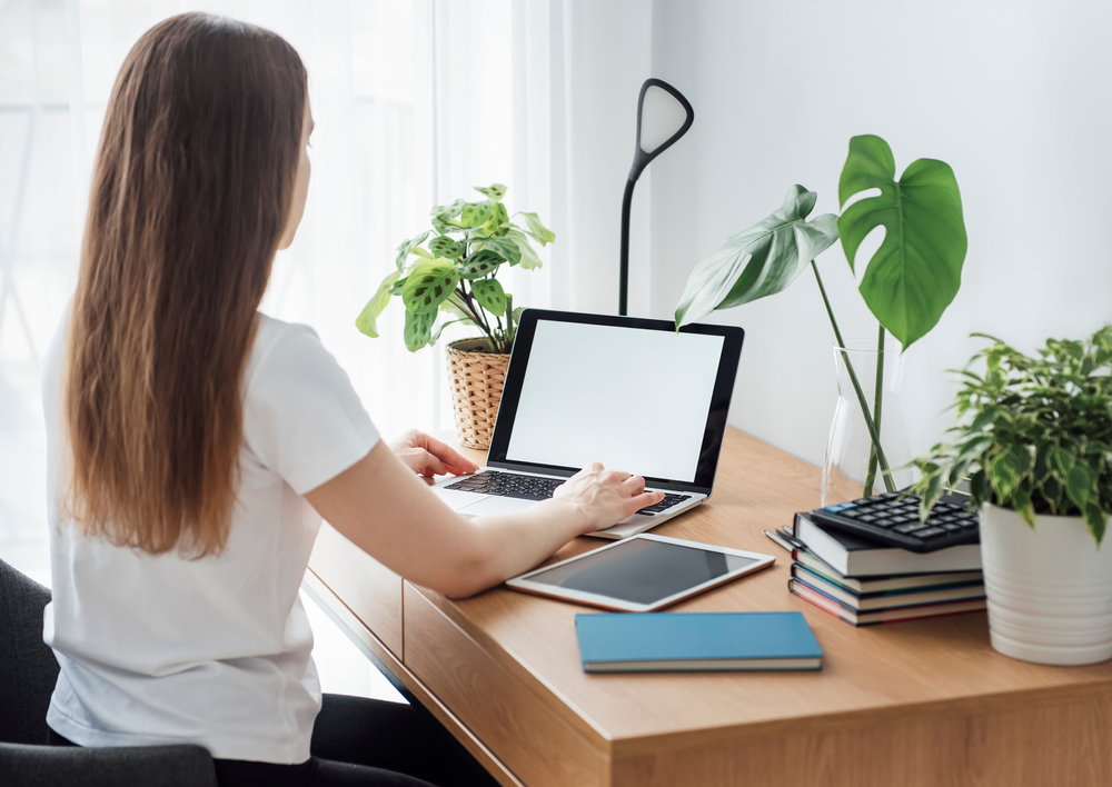 Research has shown that houseplants help to boost productivity by as much as 40 percent