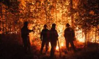 Russia Evacuates 2 Villages in Siberia Because of Wildfires