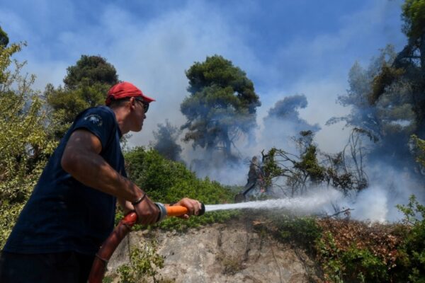 Wildfire erupts on North Evia