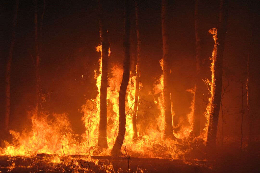 Wildfire smoke changes as it hangs in the air, its chemical properties changing due to the effects of the sun and chemicals in the air. (Evgeny Dubinchuk/Shutterstock)