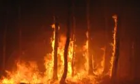 What’s in Wildfire Smoke?
