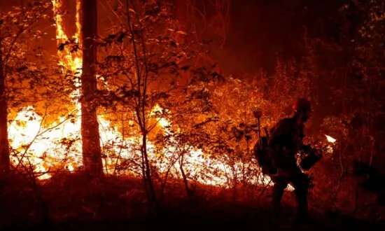 Tree Falling on PG&E Electric Line Started Northern California’s Dixie Fire in July: Officials