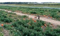 Farmers Cry Foul Over Biden’s Death Tax Proposal